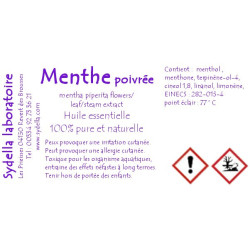 Menthe poivrée 2